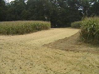 Grassed Waterway